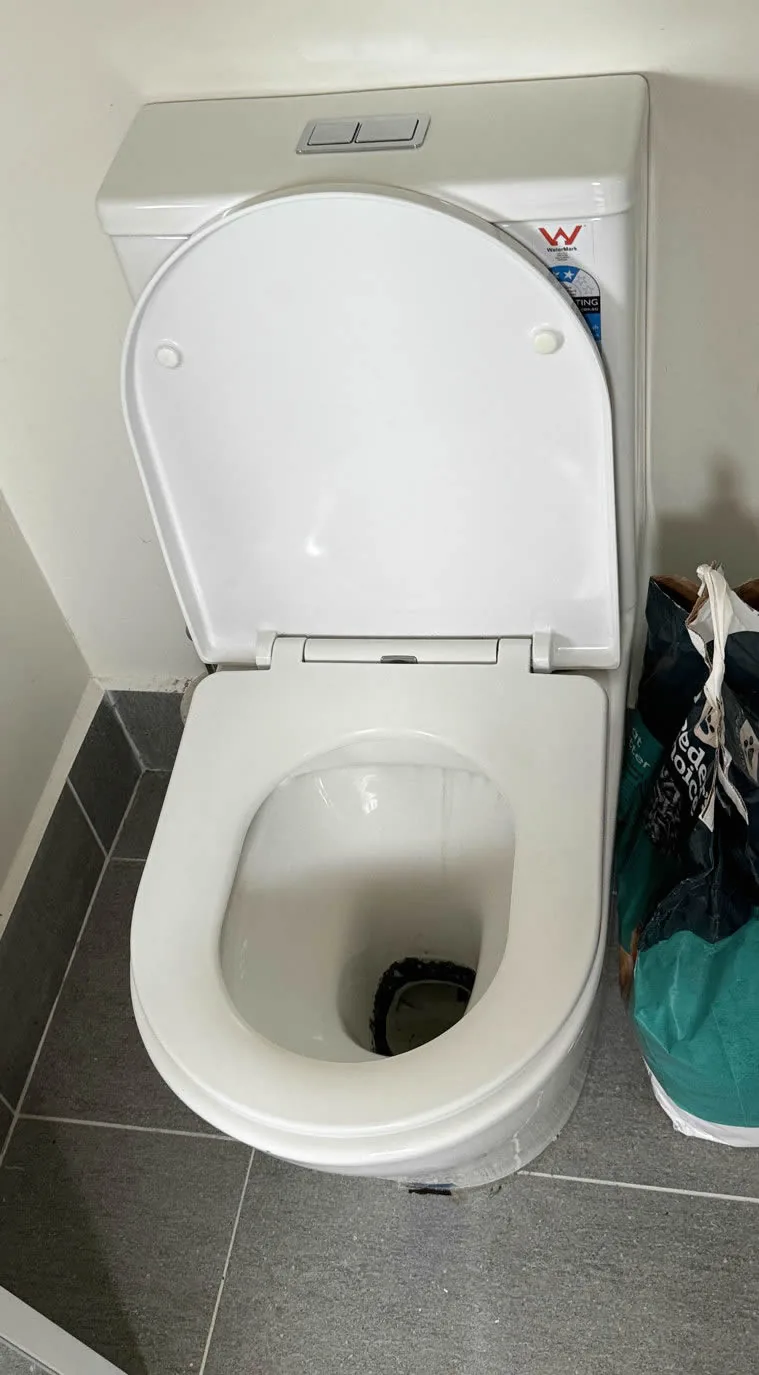 Toilet and surround after cleaning